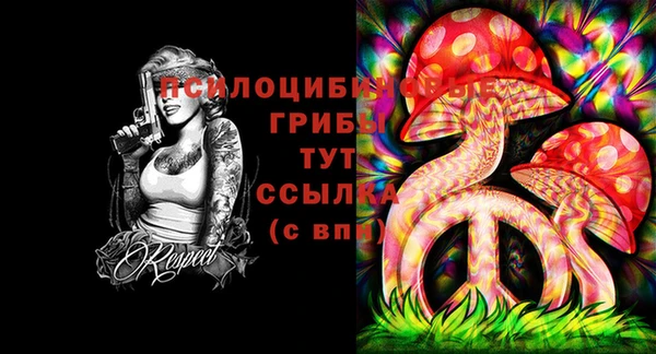 амф Балахна