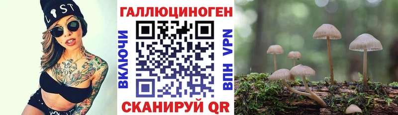 где продают   Всеволожск  Псилоцибиновые грибы Psilocybine cubensis 